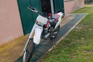ttr 600 belgarda