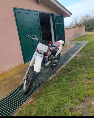 ttr 600 belgarda