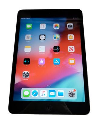 iPad mini 2