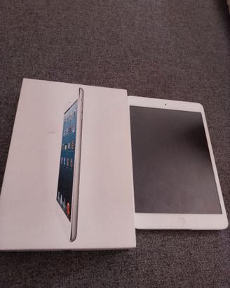 iPad mini