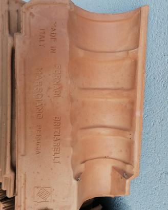 tegole portoghesi briziarielli