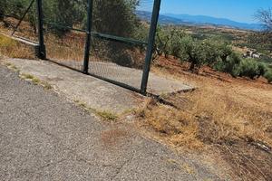 Terreno Agricolo in Produzione