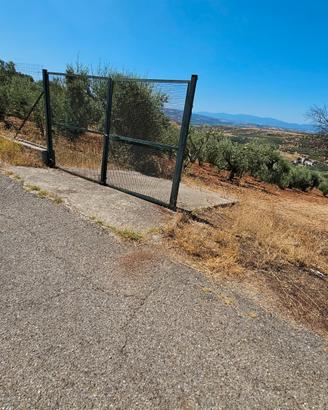 Terreno Agricolo in Produzione