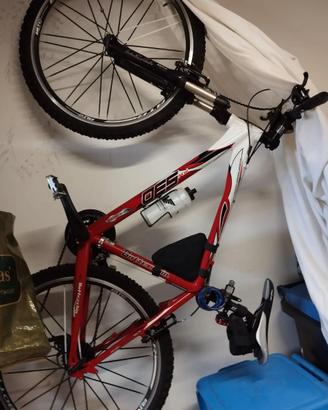 bicicletta BOTTECCHIA