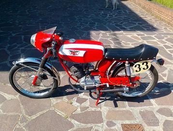 morini corsarino