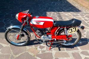 morini corsarino