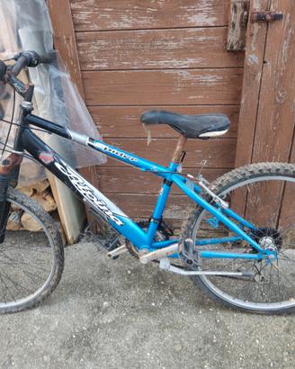 Bicicletta Ragazzi