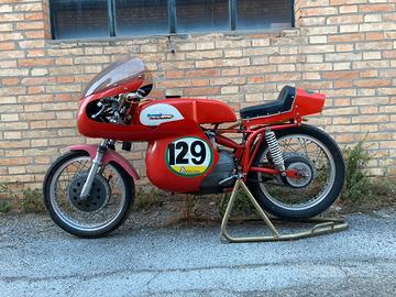 Aermacchi H.D. 250 Ala D'oro - 1965