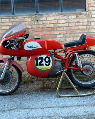 Aermacchi H.D. 250 Ala D'oro - 1965