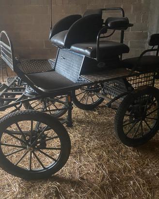 Carrozza