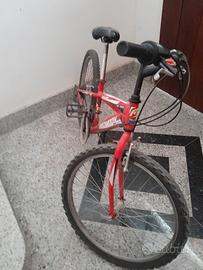 Bici 24