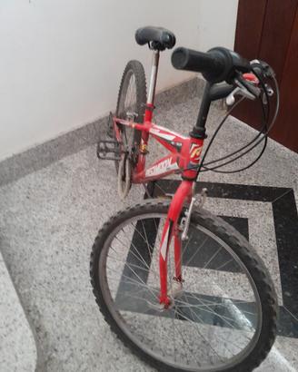 Bici 24