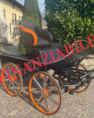 Carrozza per cavalli nuova de lux 125 gomme piene