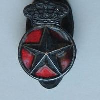 Amministrazione coloniale distintivo (ma520)