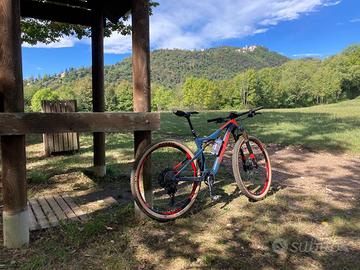 Orbea oiZ