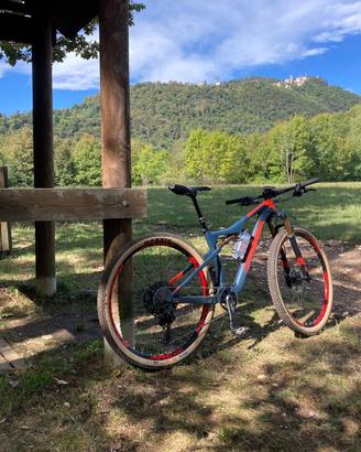 Orbea oiZ