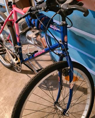 Mtb atala
