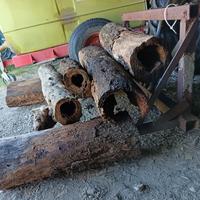 tronchi cavi per decorazioni