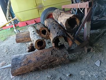 tronchi cavi per decorazioni