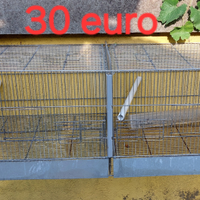 Gabbia per cova