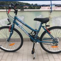 Bicicletta con cambio