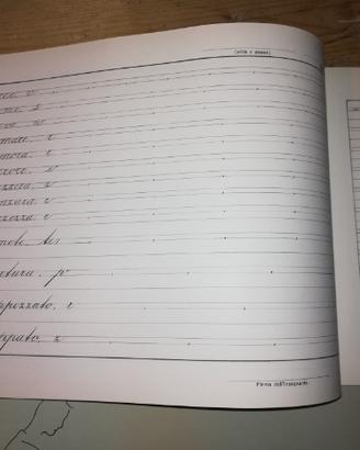 Quaderni di calligrafia