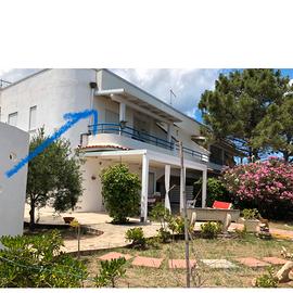 GRAZIOSO APPARTAMENTO VISTA MARE A 30 mt