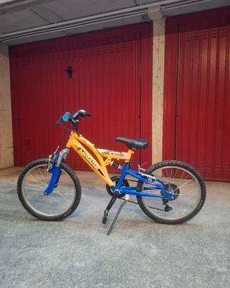 bicicletta bambino