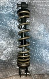 Ammortizzatore paioli nitro