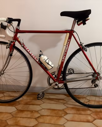 Bicicletta da corsa