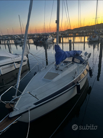 Barca a vela Maxi 68