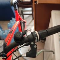 bicicletta da 28