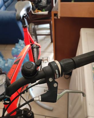 bicicletta da 28