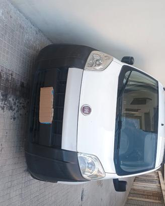 Fiorino