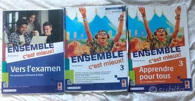 Libri di francese terza media