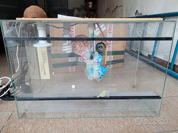 terrario in vetro 60x40
