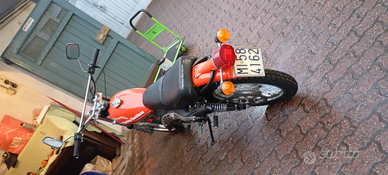 Harley AMF