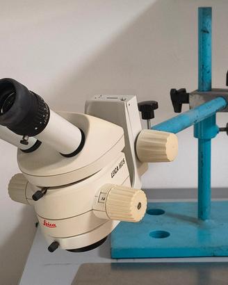 Leica MS5 Microscopio stereoscopico professionale