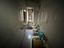 Immagine 12