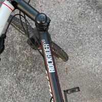 ROCKRIDER 520 100€ non trattabili