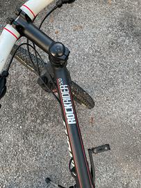 ROCKRIDER 520 100€ non trattabili