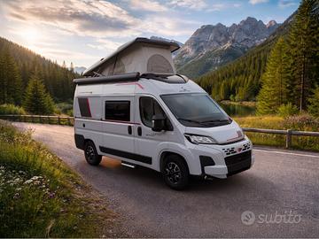 Roller Team Livingstone K2 Sport Limited