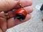 Immagine 3