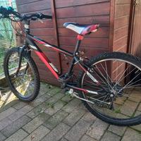 MTB ragazzo