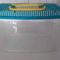 Acquario portatile per pesciolini