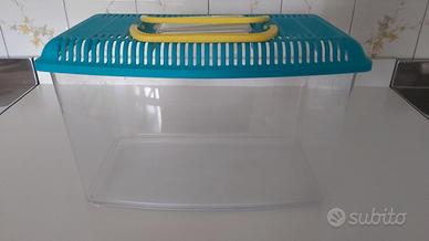 Acquario portatile per pesciolini