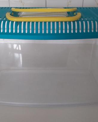 Acquario portatile per pesciolini