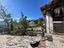Immagine 26
