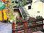 Immagine 25