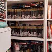 Dylan dog in buono stato